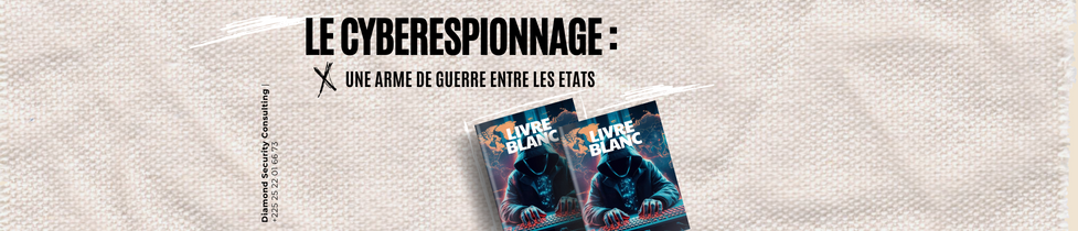 Visuel Livre Blanc DSC