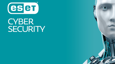 rapport_deset_sur_les_cybermenaces