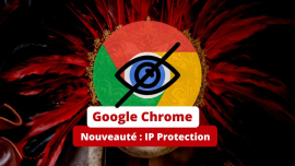 Google-chrome IP Protection