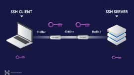 Vulnérabilité à l’échelle mondiale : Terrapin met en péril la sécurité des connexions Internet de 11 Millions de Serveurs SSH