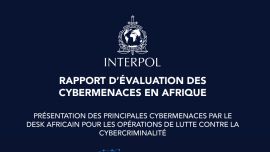 rapport_dinterpol